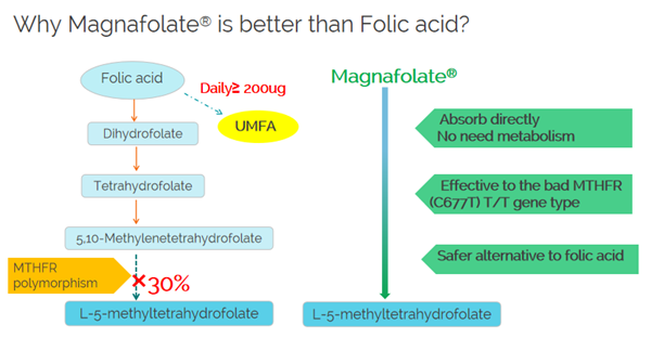 ¿Por qué el magnafolato es mejor que el ácido fólico?