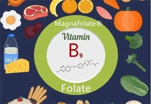 ¿Qué es la anemia por deficiencia de folato?