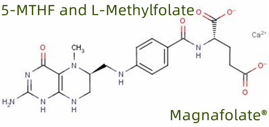 5-MTHF y L-Metilfolato