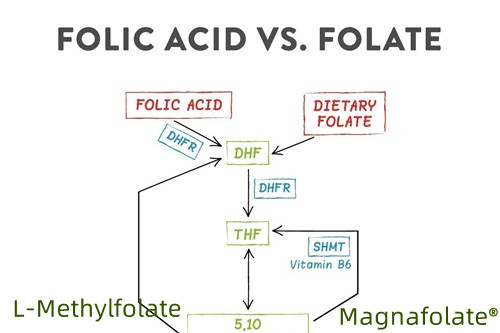 Resumen de folato y L-metilfolato