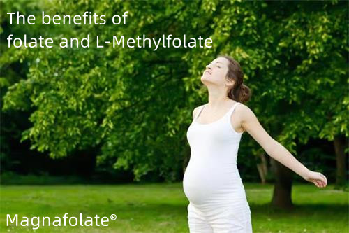 Beneficios para la salud del folato y el L-metilfolato