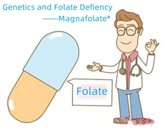 Genética y deficiencia de folato-magnafolato