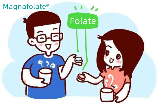 ¿Cuánto folato necesito?