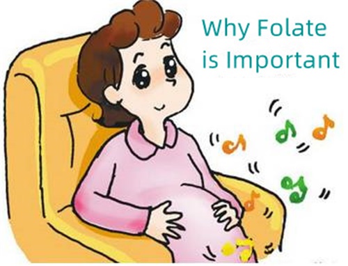 ¿Por qué es importante el folato?