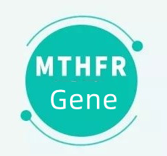 ¿Qué significa si tienes el gen MTHFR?