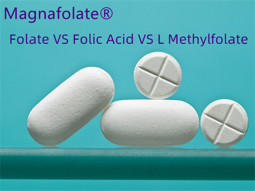 Ácido fólico versus folato: ¿cuál es mejor?