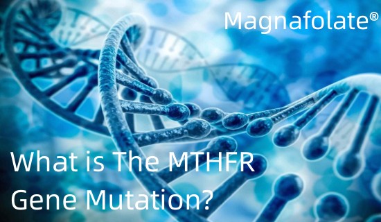 ¿Qué es la mutación del gen MTHFR?