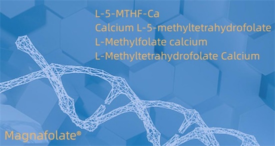 L-5-metiltetrahidrofolato de calcio Cas151533-22-1