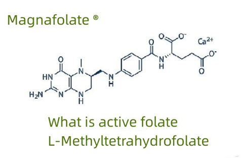 ¿Qué es el folato activo y el L-metiltetrahidrofolato?