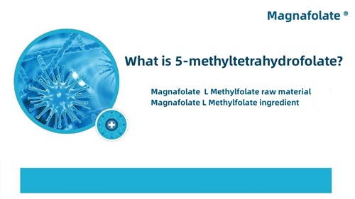 ¿Qué es el 5-metiltetrahidrofolato?