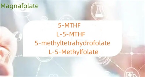 ¿Cuál es la diferencia entre 5-metiltetrahidrofolato y folato?