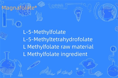 ¿Qué hace el L metilfolato?