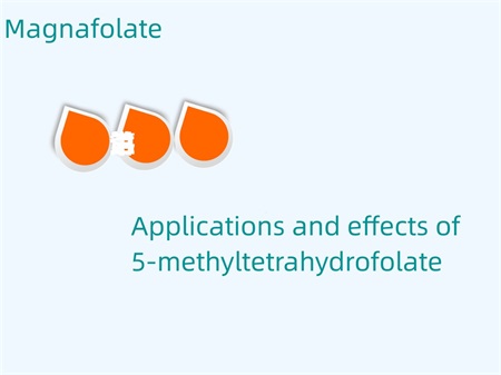 Aplicaciones y efectos del 5-metiltetrahidrofolato