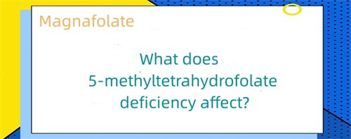 ¿A qué afecta la deficiencia de 5-metiltetrahidrofolato?