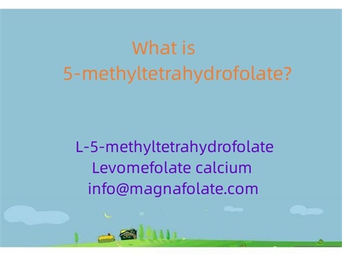 ¿Qué es el 5-metiltetrahidrofolato?