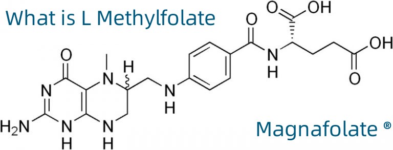 L-5-metiltetrahidrofolato de calcio No. CAS: 151533-22-1