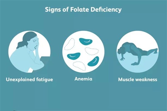 ¿Qué es el folato y cuáles son sus efectos?