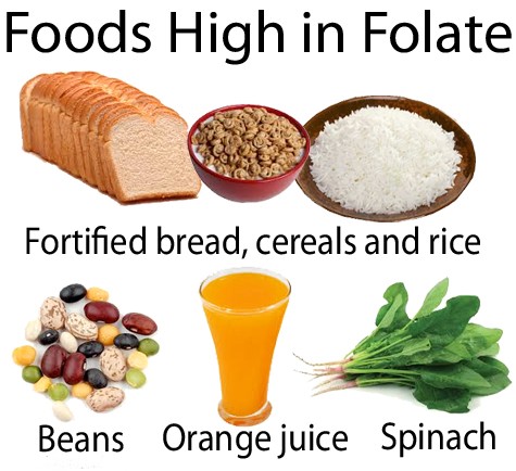 Clasificación del folato: folato dietético