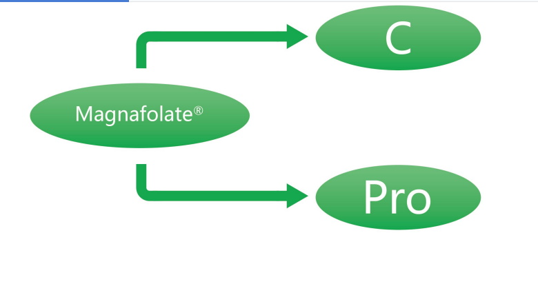 Magnafolato C y Pro—L-metilfolato de calcio