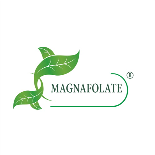 Registro de magnafolato