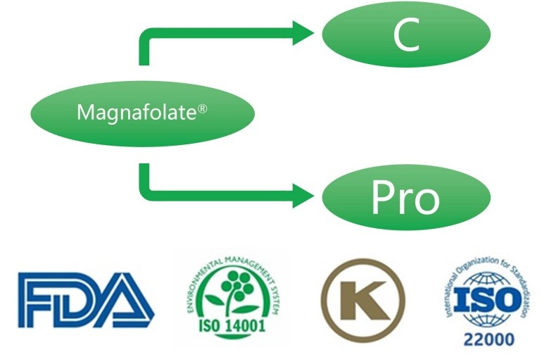 ¿Qué es el L-5-metiltetrahidrofolato de calcio? ¿Cuáles son los proveedores?